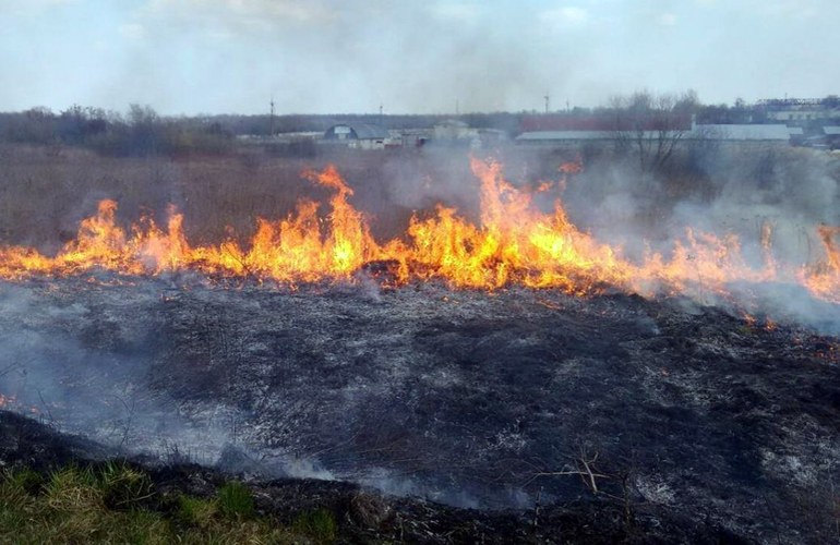 На Житомирщине за сутки ликвидировано 6 пожаров, среди которых есть возгорание сухой травы