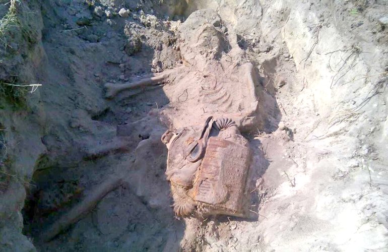 На окраине села в Житомирской области откопали останки советского солдата. ФОТО