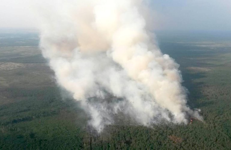 Появились фотографии лесного пожара в заповеднике на Житомирщине