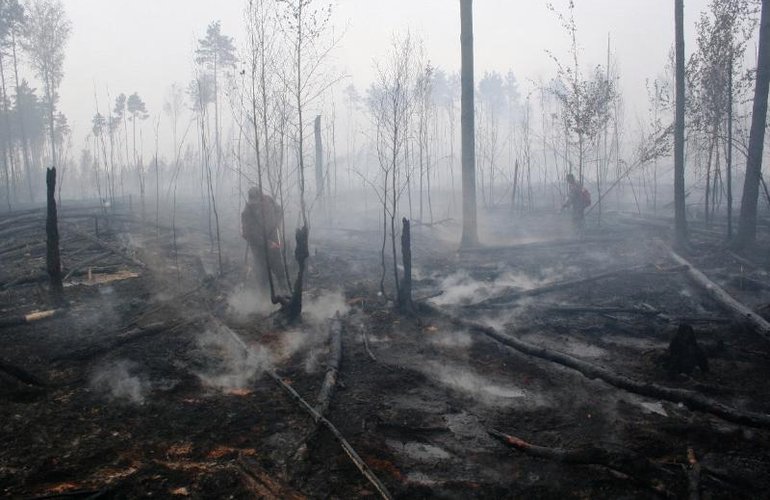За сутки площадь лесного пожара в Житомирской области существенно уменьшилась