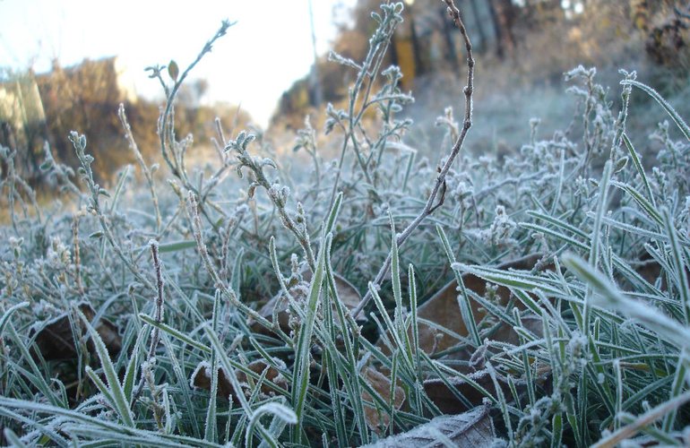 Грядет похолодание: синоптики прогнозируют в Житомире и области заморозки
