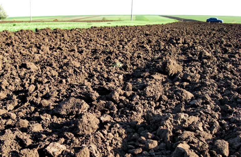 Столичный фермер самовольно захватил почти 90 га земли в Житомирской области