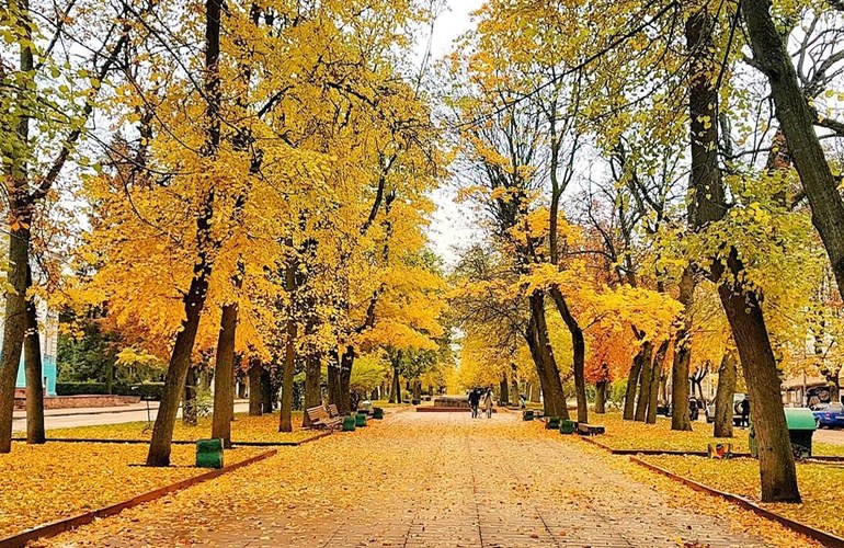 Пришла осень в Житомир. 25 ярких фотографий из Instagram
