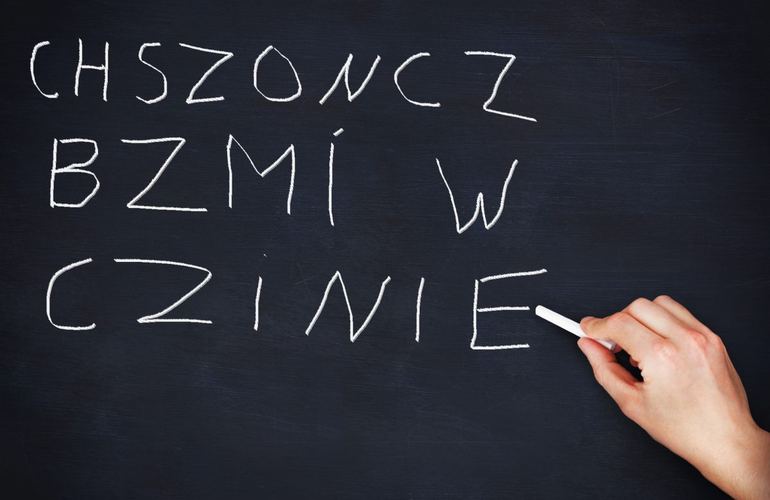 В одной из школ Житомира торжественно открыли класс польского языка. ФОТО