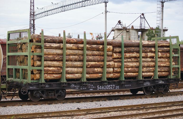 Житомирские лесники перекрывали железную дорогу и добились поставок вагонов для продукции