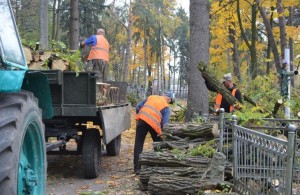  Реализация проекта бюджета участия: коммунальщики наводят порядок на <b>Польском</b> <b>кладбище</b> в Житомире. ФОТО 