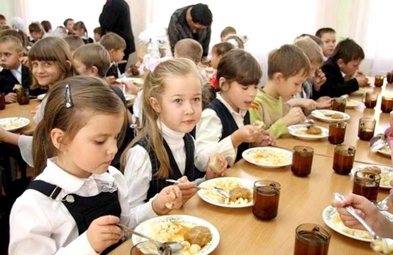 Нитраты и кишечная палочка: на Житомирщине проверили качество питания в детсадах и школах