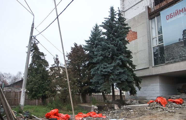 Реконструкции ресторана «Смоленск» в центре Житомира мешают деревья – их планируют срезать. ФОТО