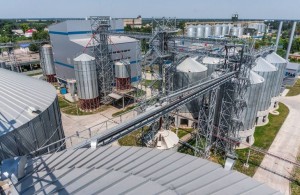 Семенной завод и завод по производству биоэтанола в ближайшие годы намерены открыть на <b>Житомирщине</b> 
