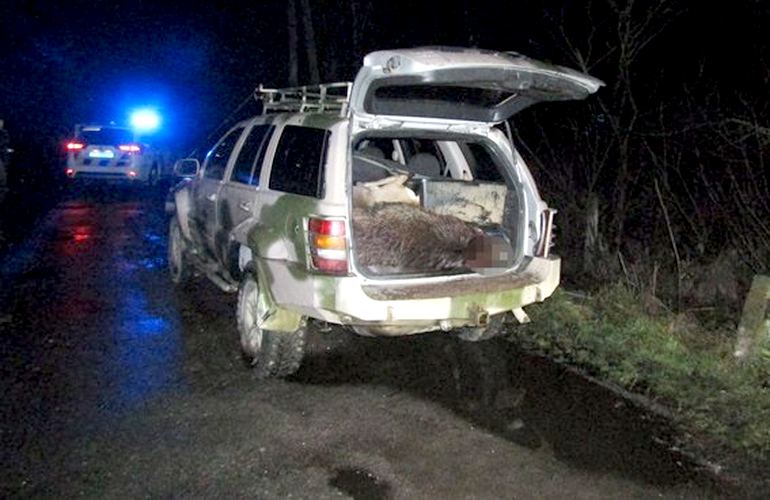 На Житомирщине поймали браконьеров, которые убили дикого кабана и двух коз