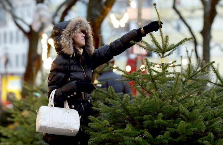 За несколько дней в Житомире и области успели продать 28 тысяч новогодних ёлок