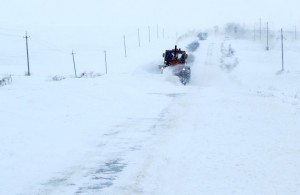  Спецтехника и бригады облэнерго устраняют последствия мощного снегопада на <b>Житомирщине</b> 