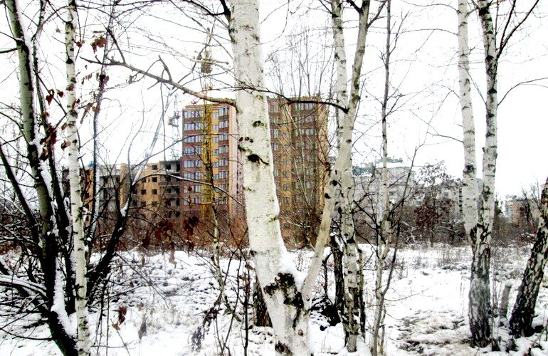 Застройщик жилого комплекса вырубит 300 деревьев, которые мешают строительству на Корбутовке