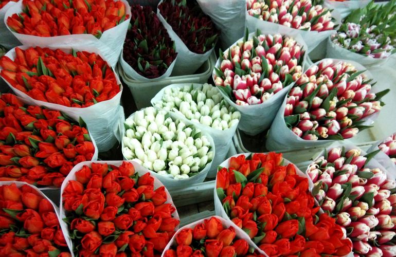 Накануне 8 марта в Житомире откроют временные площадки по продаже цветов