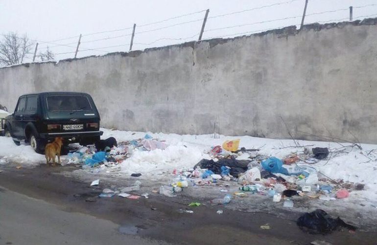 В Житомире из частного сектора убрали мусорные баки. Люди выбрасывают отходы просто на улицу. ФОТО