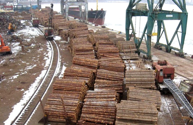 Из Житомирской области в Турцию пытались нелегально вывезти лесопродукцию – прокуратура
