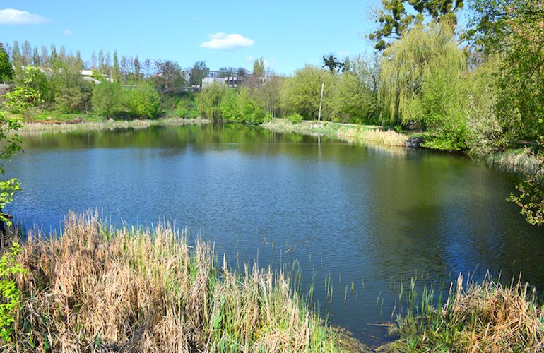 В Житомире предлагают благоустроить озёра возле микрорайона ДОС