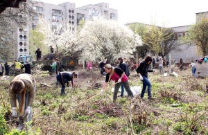 Житомирян призывают выйти на весеннюю толоку по озеленению и благоустройству города