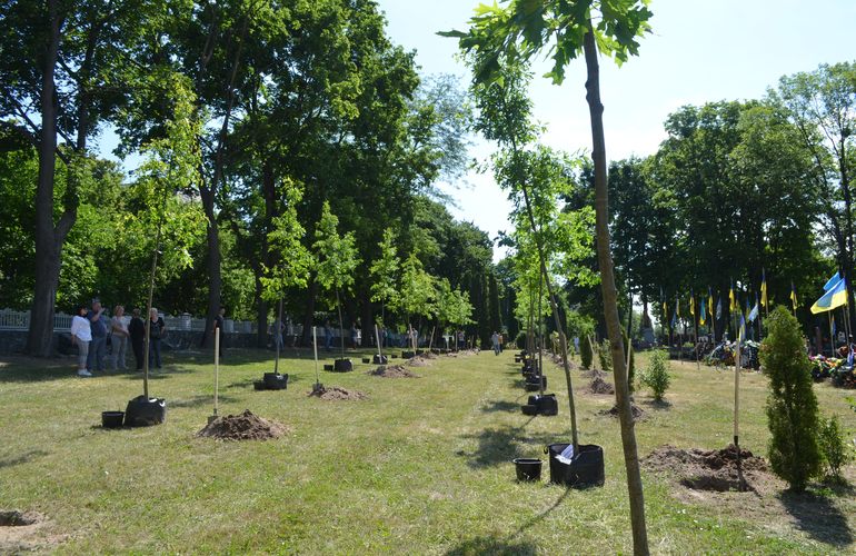 Аллея Славы Героев: в Житомире высадили 53 дуба в честь погибших воинов АТО. ФОТО