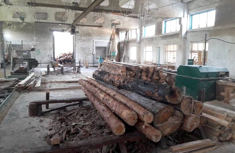 Дельцы из Житомира по поддельным документам скупали древесину и экспортировали в ЕС и Азию