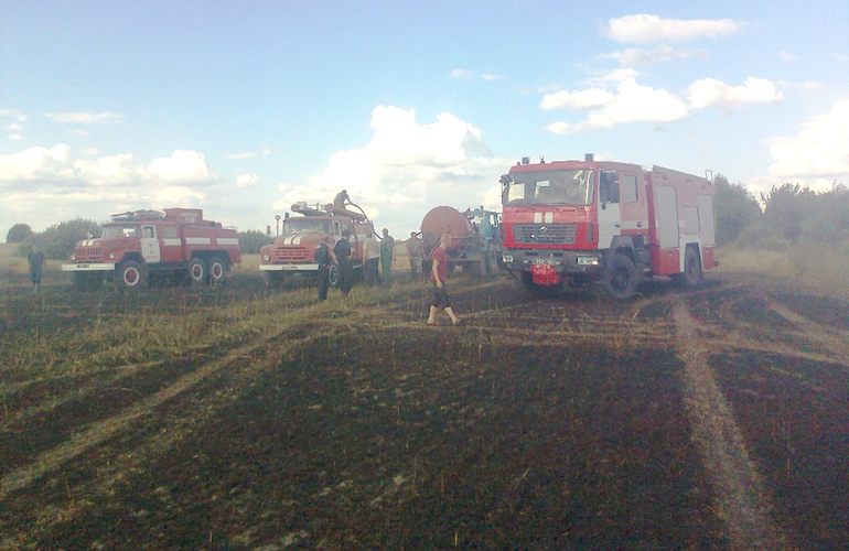 Пожар на Житомирщине уничтожил 21 га пшеницы. ФОТО