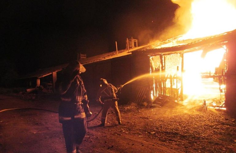На Житомирщине спасатели ликвидировали пожар на деревообрабатывающем предприятии. ФОТО
