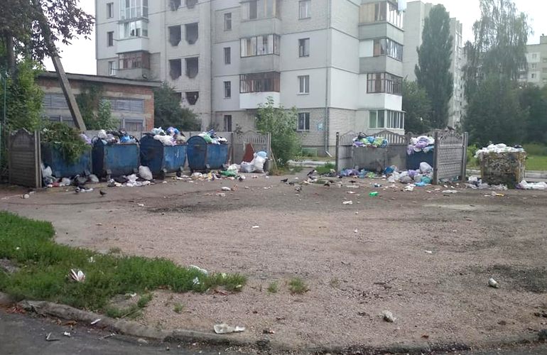 «Нет водителей»: в КАТП пояснили, почему некоторые дворы Житомира завалены мусором. ФОТО