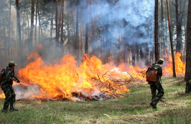В Житомирской области объявили чрезвычайный уровень пожарной опасности