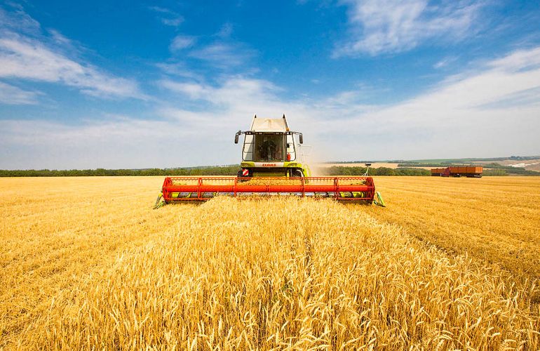 Житомирская область – один из лидеров по производству сельскохозяйственной продукции