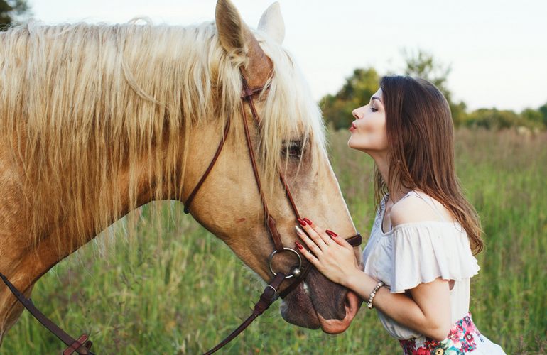 «Свято з українським конем»: в Житомире в четвертый раз состоится зрелищный фестиваль