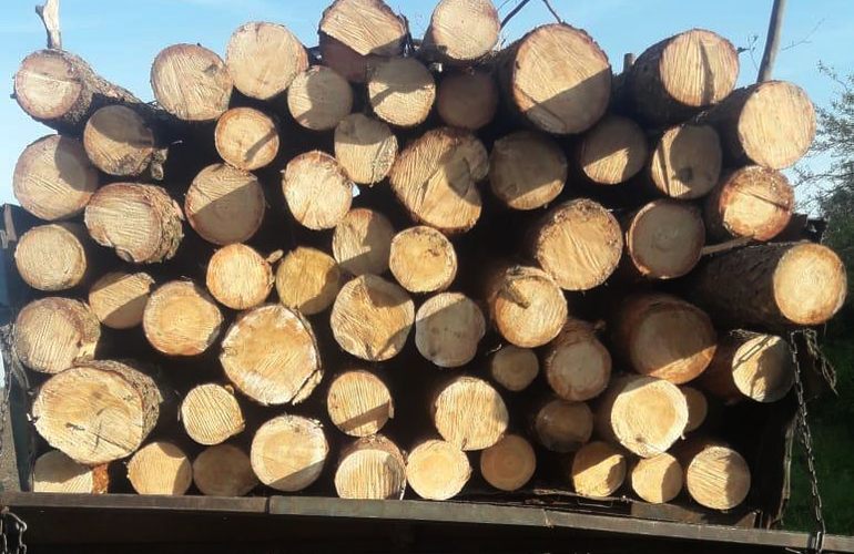 На Житомирщине задержали грузовики, перевозившие краденую древесину. ФОТО