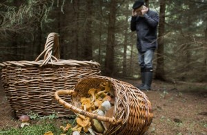  Провел ночь в лесу: на Житомирщине после 10 часов поисков нашли заблудившегося грибника 