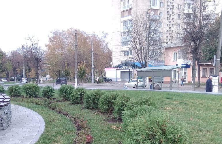 Осеннее озеленение: коммунальщики высадили на улицах Житомира более 1000 кустов и деревьев. ФОТО