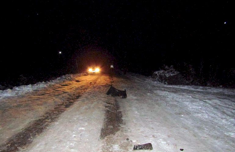 ДТП на Житомирщине: водитель ВАЗа сбил насмерть пешехода