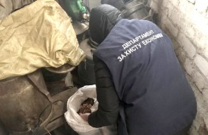В Олевске найден подпольный цех по обработке незаконно добытого янтаря
