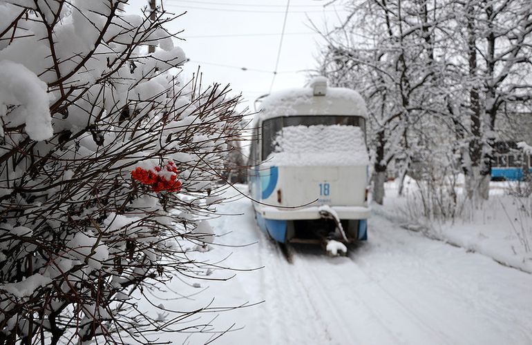 В Житомире временно не будут курсировать трамваи - ТТУ