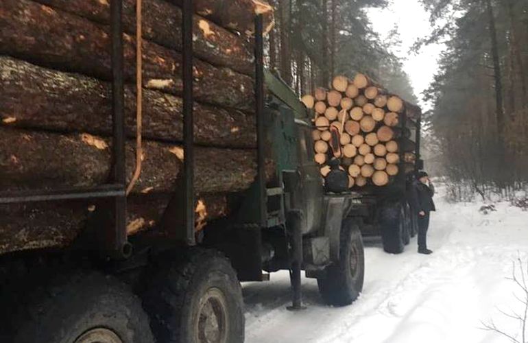 На Житомирщине задержали два «Урала», груженые незаконной древесиной. ФОТО