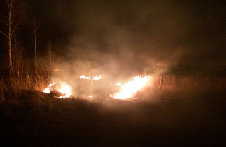 На Житомирщине потушили возгорание сухой травы: огонь подобрался к жилым домам