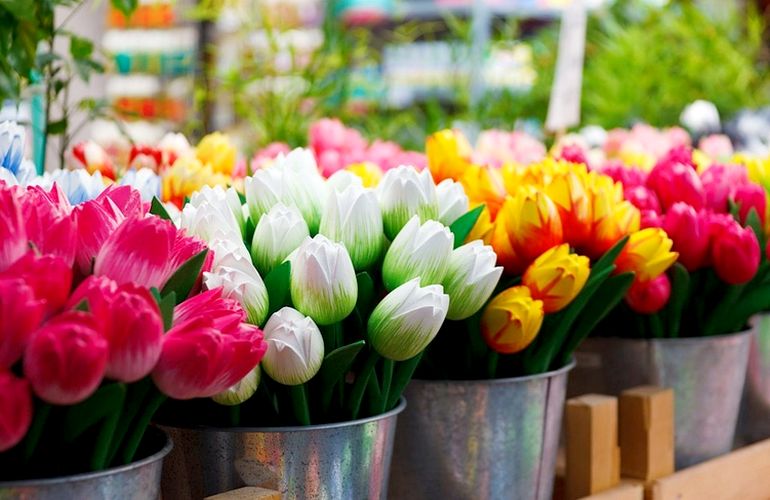 В Житомире обустроят временные торговые площадки с цветами и саженцами