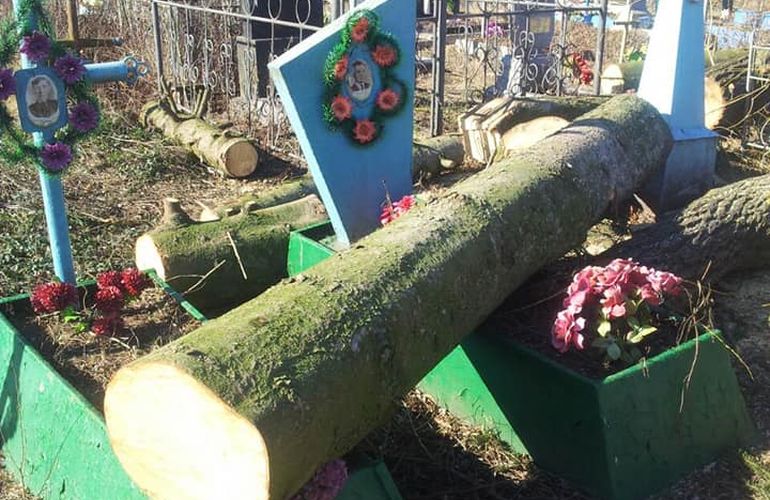 В Житомирской области спиленные деревья повредили могилы на кладбище. ФОТО