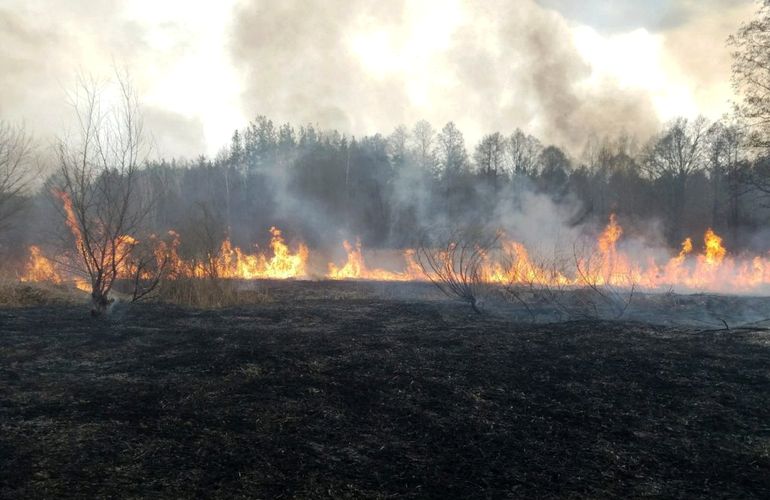 Более 500 пожаров с начала года: житомирские спасатели призывают не сжигать сухую траву и мусор