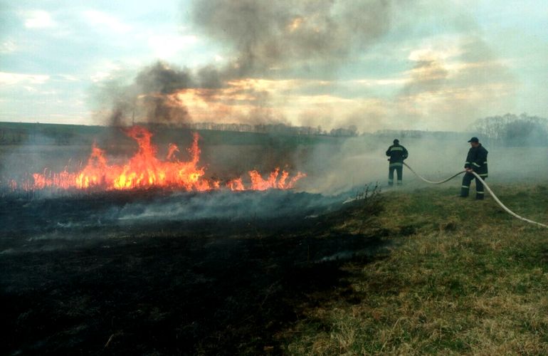Масштабный пожар на Житомирщине: 82 человека и 19 единиц техники тушили покинутое село