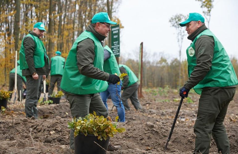 У межах ініціативи Президента на Житомирщині за 1 день висадили 1 мільйон дерев. ФОТО