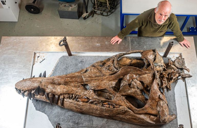 В Британии нашли гигантский череп плиозавра - подводного монстра Юрского периода