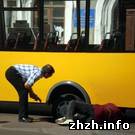 Происшествия: В центре Житомира маршрутка с пассажирами провалилась под асфальт. ФОТО