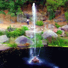 Технологии: В Коростене водолазы отремонтировали знаменитый «свадебный фонтан». ФОТО
