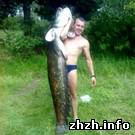 Общество: Житель Житомирской области поймал гигантского сома весом 52 килограмма. ФОТО