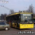 Технологии: В Житомире обещают открыть три новых троллейбусных маршрута