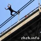 В Житомире разбился мужчина, прыгнув с пешеходного моста через реку Тетерев