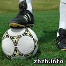 Власти Житомира обещают отремонтировать футбольные площадки во дворах города
